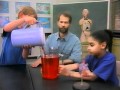 Exploring the Circulatory and Respiratory Systems