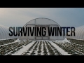 Modern Practices in Winter Farming