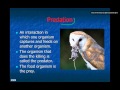 Ecological Interactions and Relationships