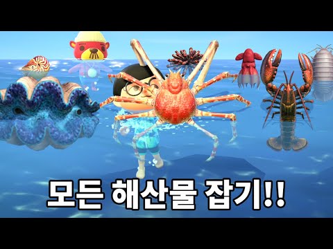 모동숲에 있는 모든 해산물 다 잡아버리기!!