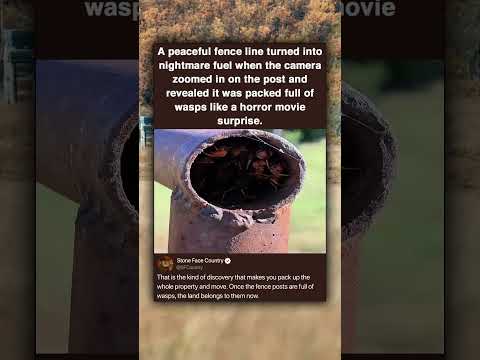 A peaceful fence line turned into nightmare fuel when the camera zoomed in on the post and revealed