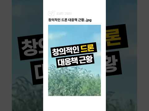 창의적인 드론 대응책 근황..jpg