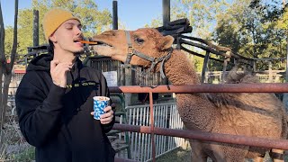 I Made A Friend