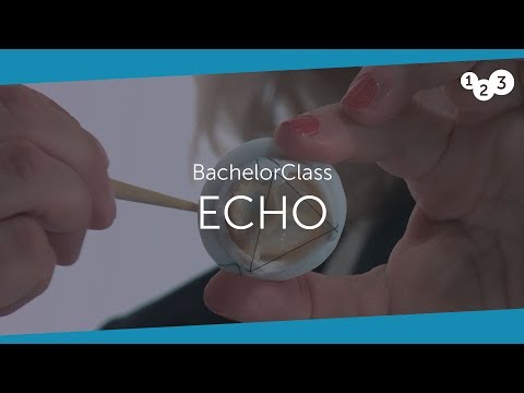 Echo BachelorClass - Your introduction to basic ...