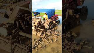 Mahindra tractor stuck in mud,,#mahindra #tractor #shorts