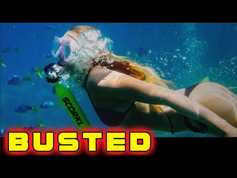 Scorkl: BUSTED!
