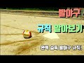 발야구 규칙 퀴즈