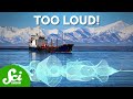 Understanding Arctic Noise Pollution