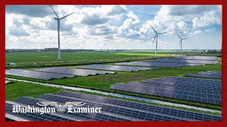 Trump vows to block wind and solar projects, calling them the ‘scam of the century’