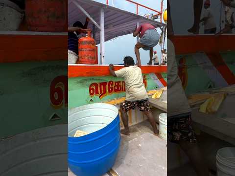 உடம்பு சரியில்லை என்றால் கரைக்கு எப்படி திரும்புறோம்னு பாருங்க மக்களே