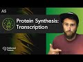 Protein Synthesis Concepts and Processes