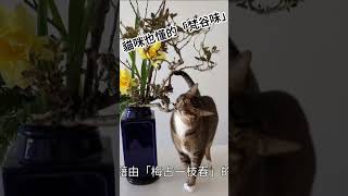 2026年2月13日