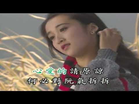[ID: pZnZzEuxZ-M] Youtube Automatic