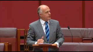 Senate Speech on the Marriage Bill