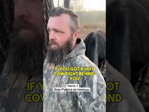 Если вы увидите этот взгляд - вы покойник