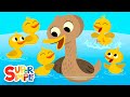 Ducks' Journey and Responses