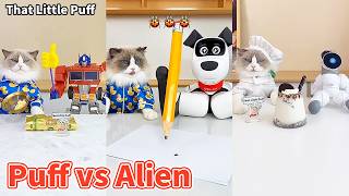 Too Cute to Handle! 🐱💖 Puff vs Robot Alien 🤖👽| That Little Puff