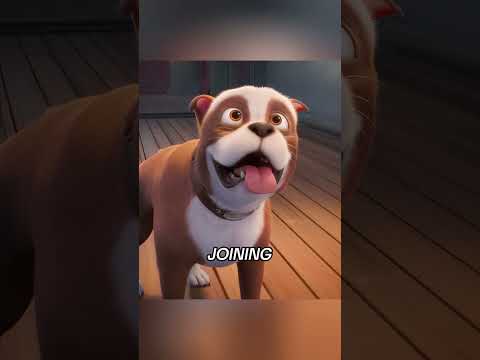 🐶 It was the first military officer dog in history #movie #film