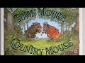 Town Mice and Country Mice Adventures