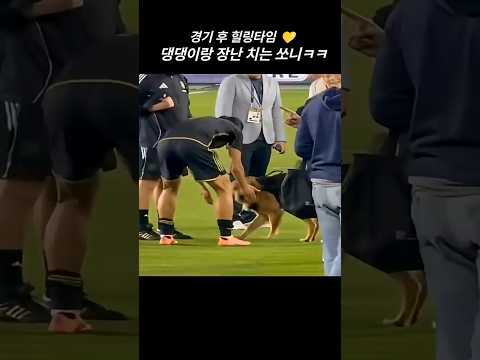 (10.06.) 댕댕이랑 장난 치는 쏘니ㅋㅋ #손흥민 #쏘니 #LAFC #sonny #SonHeungMin