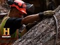 Logging Operations and Equipment Challenges
