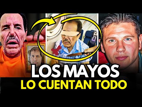 Los MAYOS Hablan y Revelan Toda La Traición de 'Los Chapitos' a EL MAYO