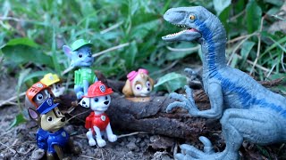 PAW PATROL y BLUE el VELOCIRAPTOR! JURASSIC WORLD REBIRTH 2025 Patrulla canina DINOSAURIOS