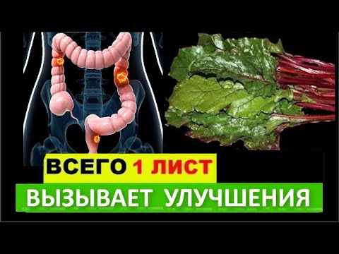 Вылечат КИШЕЧНИК , ЯЗВУ желудка , Очистят СОСУДЫ , при ДИАБЕТЕ  листья СВЕКЛЫ