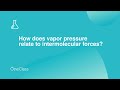Intermolecular Forces and Vapor Pressure