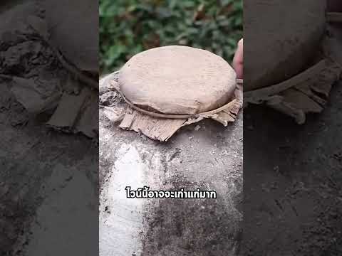 เปิดไหไวน์เก่าอายุร้อยปี