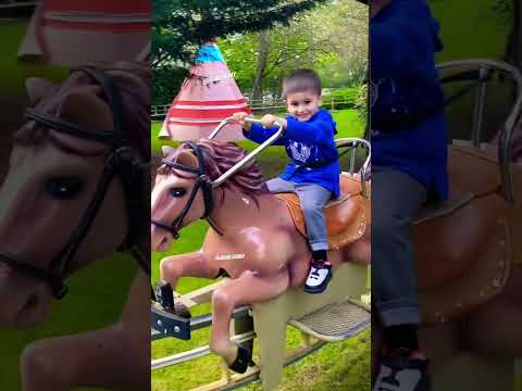 Super Cool Horse Ride #shorts #viralshorts #ytshorts #fyp #themepark #amusementpark