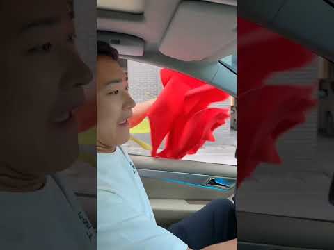 "Took the Rose" ll Carriage House wooden artist ll #cartoon​ #shortvideo​  