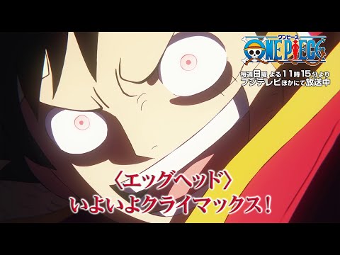 エッグヘッド編クライマックス!TVアニメ『ONE PIECE』毎週夜11時15分よりフジテレビ系全国ネットにて放送中