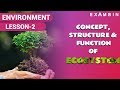 Ecosystem Roles and Interactions