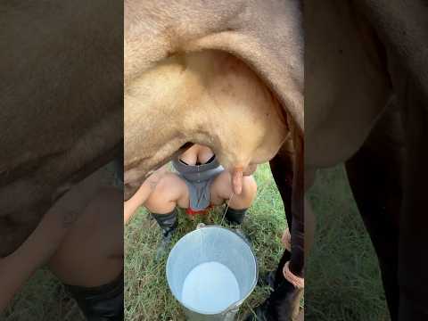 Ordeñando 🐄