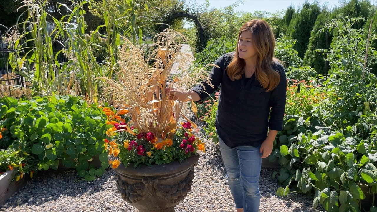 Planting 5 More Fall Containers!