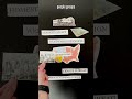 Westward Expansion and Its Impact