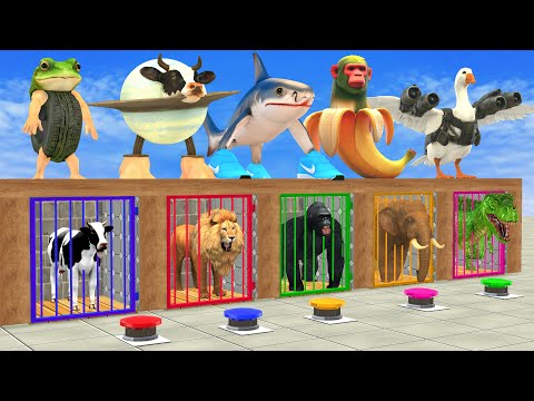 Guess The Italian Brainrot Animals with Cow Gorilla Elephant Lion Dinosaures Shark Escape Cage Chall