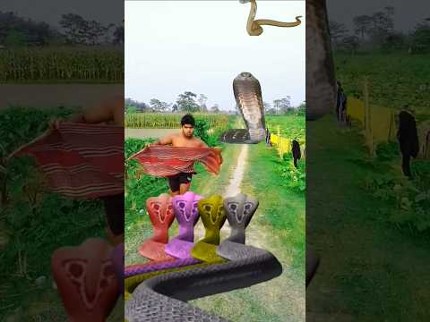nara nara#khambhu#dha kheta#tag ddina#harq hara shambhu