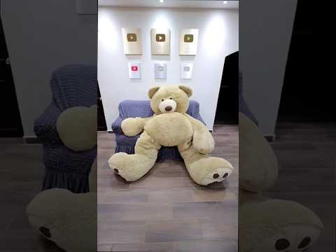 EL OSO GIGANTE 🐻 #comedia @alfredolarin