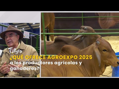 ¿Qué ofrece Agroexpo 2025 a los productores agrícolas y ganaderos? – TvAgro por Juan Gonzalo Angel
