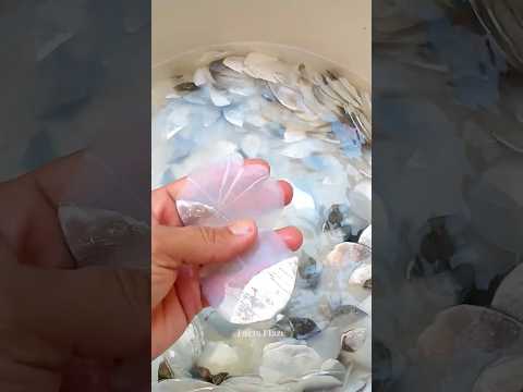 They Strip This Fish… For Luxury? 😨🐟💎