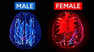 Is There a Smarter Sex?