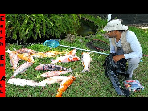 Neighbors KILLED ALL of our PET Fish with POISON!