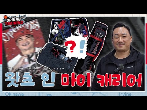 프로 18년차 캐리어엔 무엇이 들었나? [왓츠인마이캐리어]