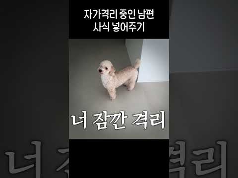 코로나 격리 생활