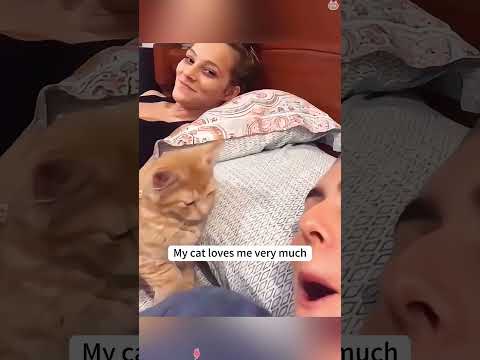 Every cat expresses love in a different way #funny #haha #pets #funnyvideo
