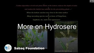 More on Hydrosere