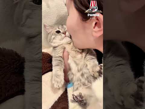 My cat gets annoyed if I kiss her too much because she doesn't like kisses.😁😂#cat #funnycats #pets