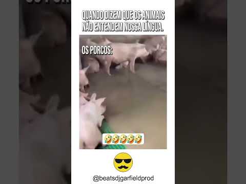 E DIZEM QUE OS ANIMAIS Ñ ENTENDEM